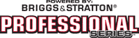 PROFESSIONAL